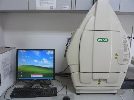 Gel Imaging System